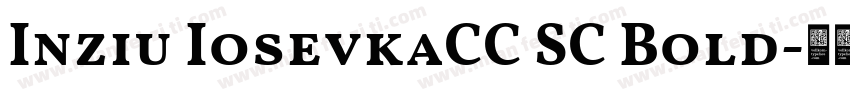 Inziu IosevkaCC SC Bold字体转换